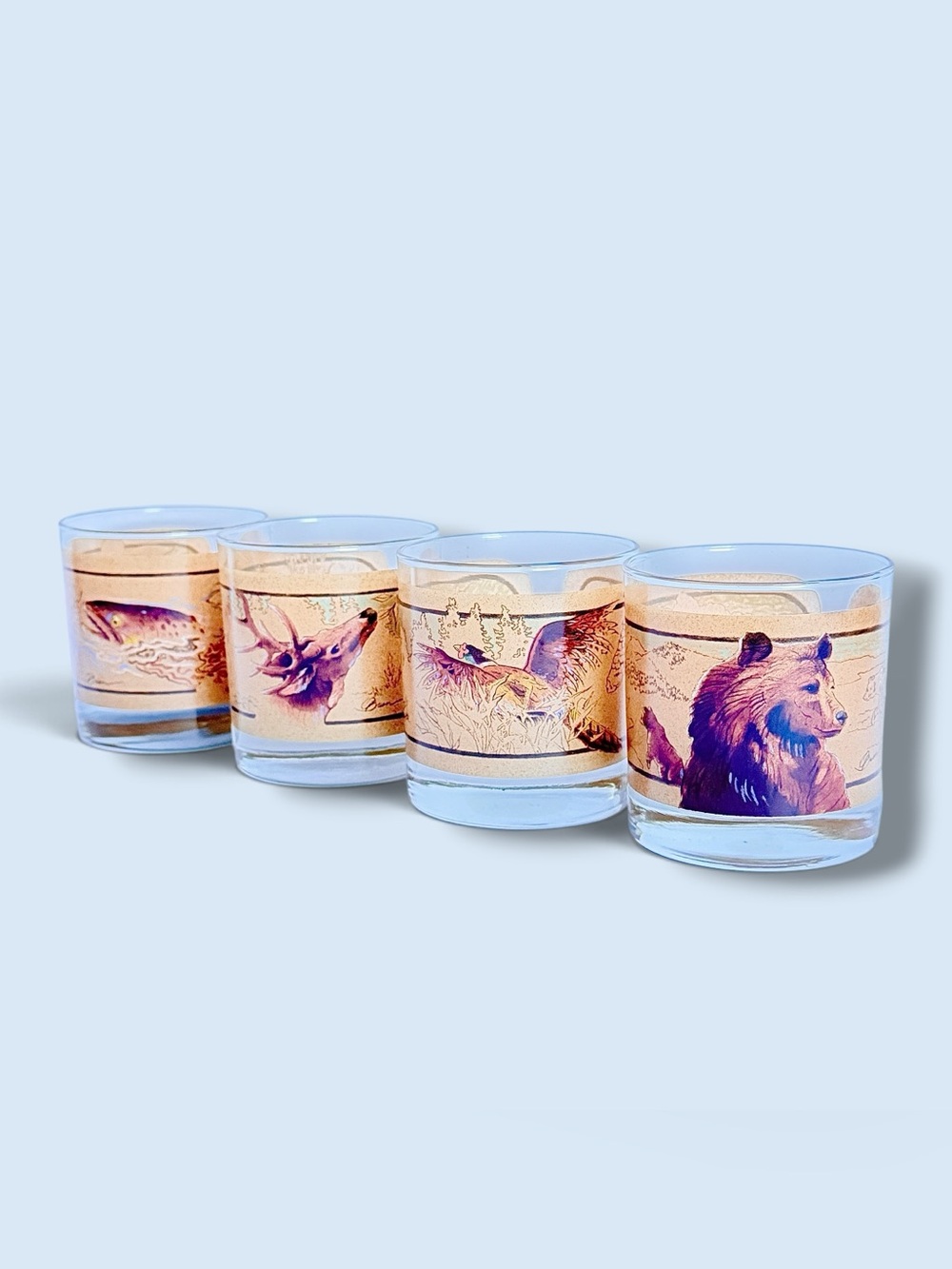 NIB NOS Vintage 1973 Avon Wildlife Series Tom O’Brien Glass Tumblers • Set of 4